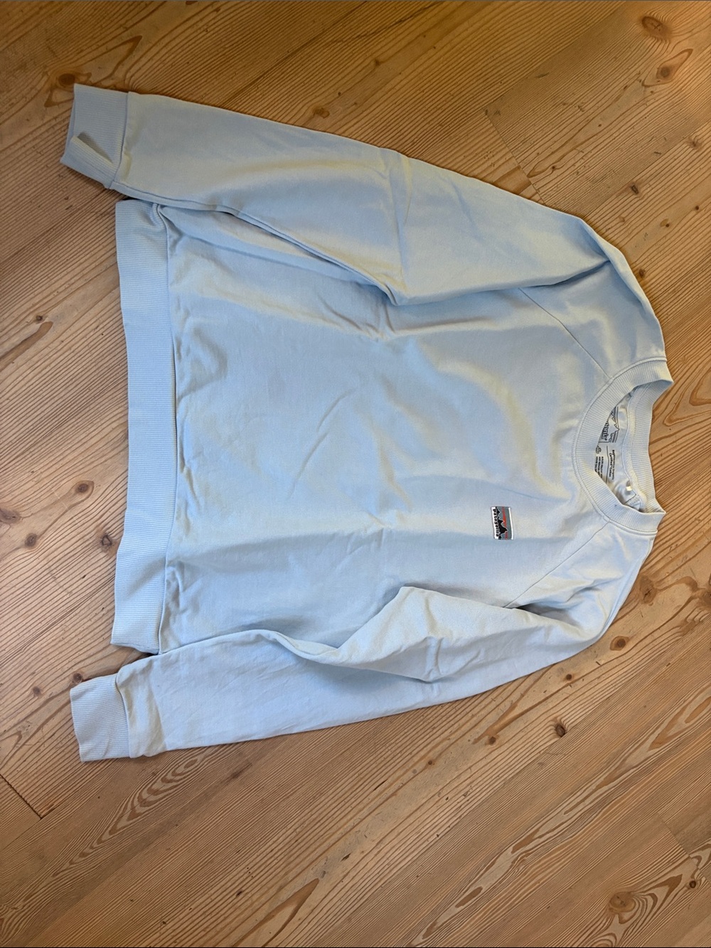 Patagonia Pale Blue Crewneck Sweatshirt with Small Patch Logo
